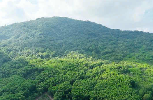 Xã Nghi Xuân:  xử phạt 1 trường hợp bị Vi phạm trong lĩnh vực đất đai 