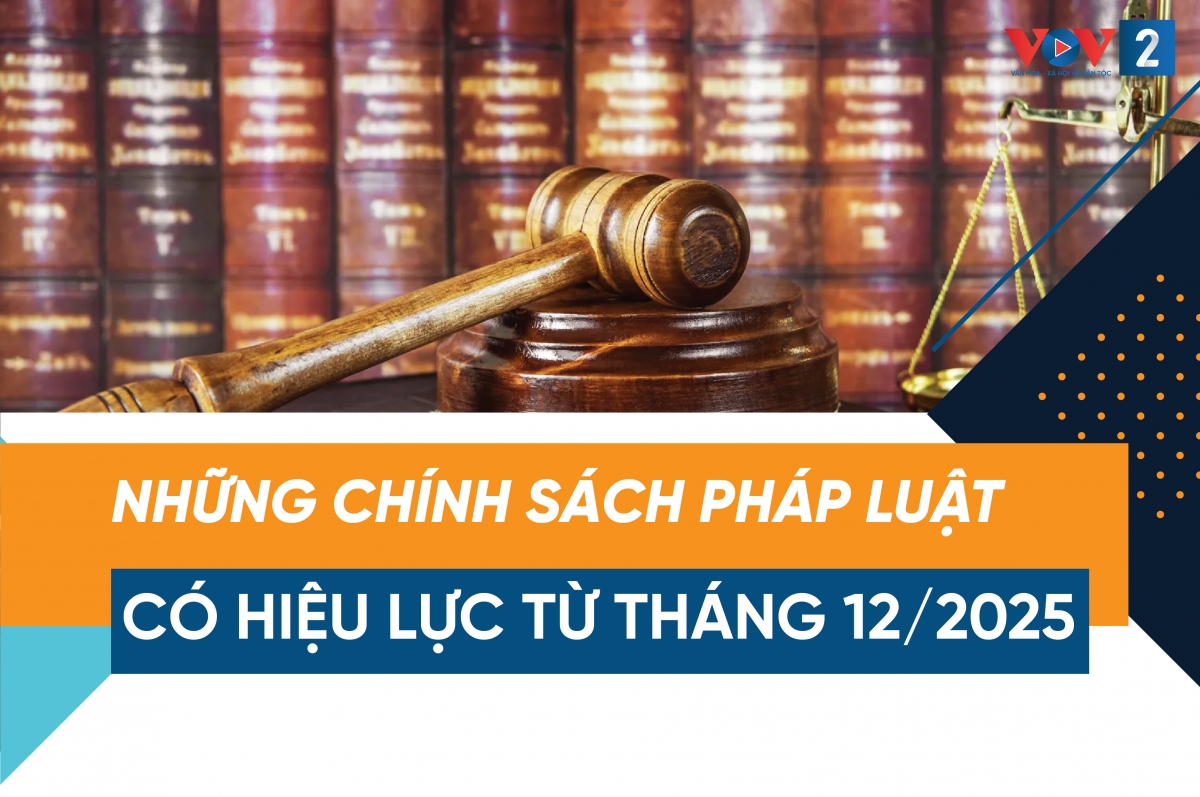 CHÍNH SÁCH PHÁP LUẬT QUAN TRỌNG CÓ HIỆU LỰC TRONG THÁNG 12 NĂM 2025