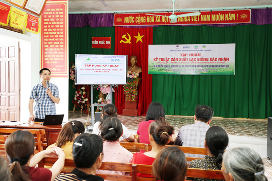 Tập huấn kỹ thuật sản xuất lạc giống xác nhận vụ Thu Đông năm 2026 