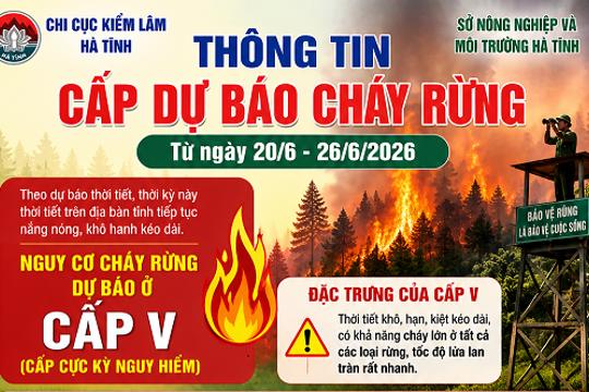 Chi cục Kiểm lâm Hà Tĩnh cảnh báo nguy cơ cháy rừng cấp cực kỳ nguy hiểm từ ngày 20 - 26/6/2026