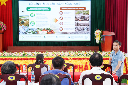 Nâng cao năng lực liên kết sản xuất theo chuỗi giá trị  