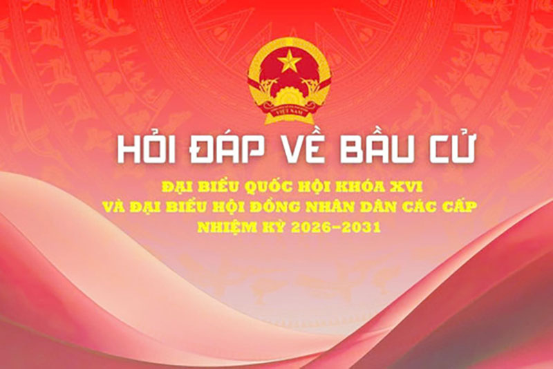 Việc tiếp nhận hồ sơ ứng cử được thực hiện như thế nào? 