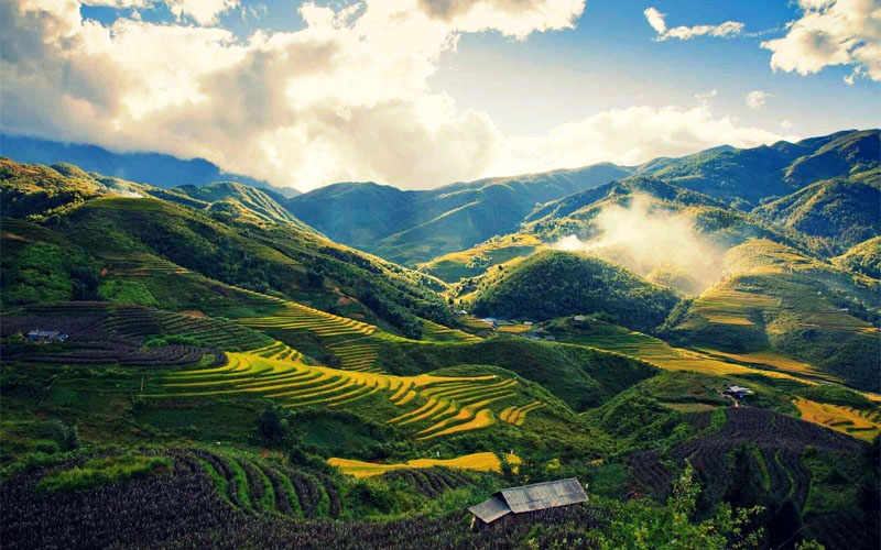 Thông báo các cuộc thi Triển lãm điêu khắc quốc tế Chaco 2026; Sáng tác tranh cổ động và âm nhạc.